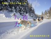 小学科学 人教鄂教版 二年级上册 《拉力》部优课件