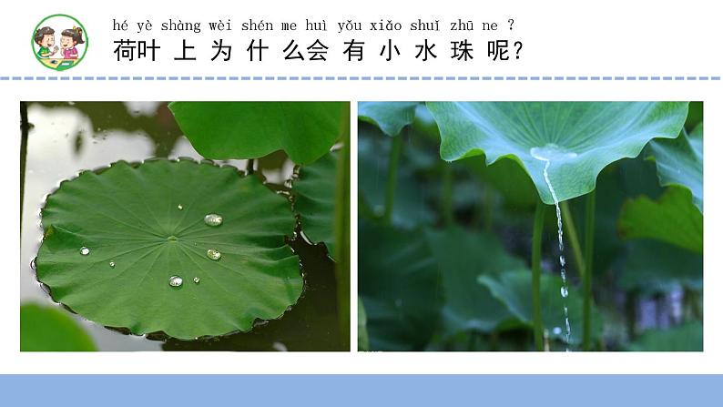 小学科学 苏教版 二年级下册 神奇的新材料部优课件04