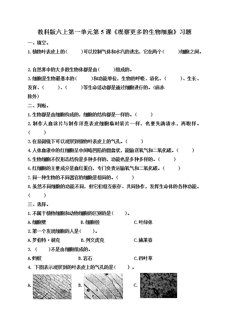 小学六年级科学上册 第一单元 第5课《观察更多的生物细胞》课件+练习 （科教版2017）01