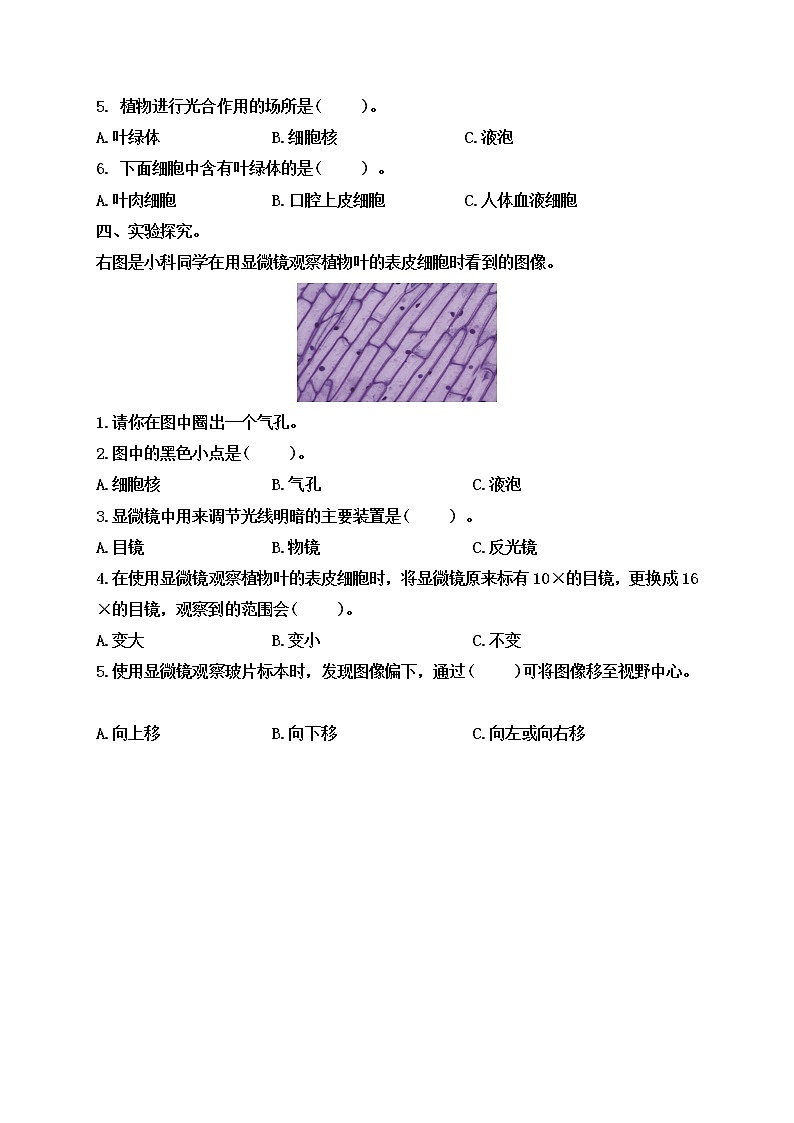 小学六年级科学上册 第一单元 第5课《观察更多的生物细胞》课件+练习 （科教版2017）02
