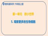 小学六年级科学上册 第一单元 第5课《观察更多的生物细胞》课件+练习 （科教版2017）