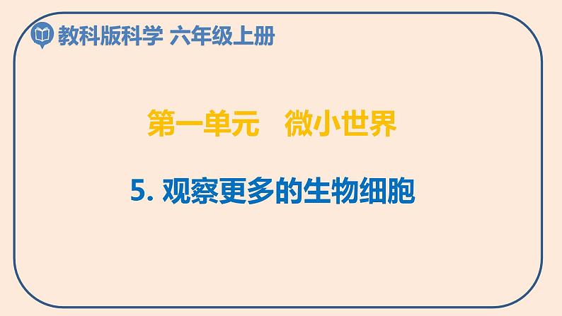 小学六年级科学上册 第一单元 第5课《观察更多的生物细胞》课件+练习 （科教版2017）01