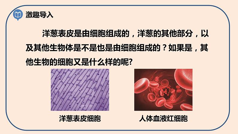 小学六年级科学上册 第一单元 第5课《观察更多的生物细胞》课件+练习 （科教版2017）02