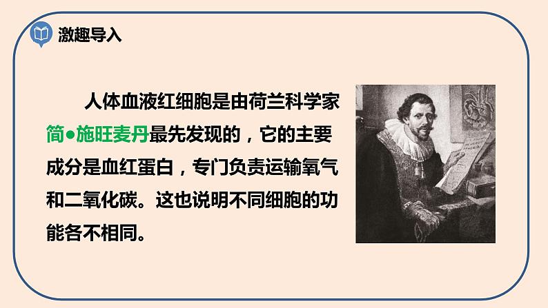 小学六年级科学上册 第一单元 第5课《观察更多的生物细胞》课件+练习 （科教版2017）03