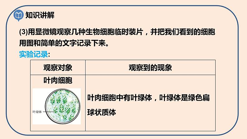 小学六年级科学上册 第一单元 第5课《观察更多的生物细胞》课件+练习 （科教版2017）08