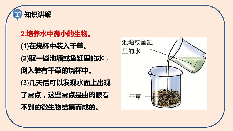 第一单元第6课《观察水中微小的生物》课件第4页