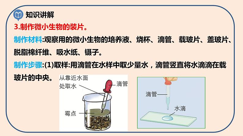 第一单元第6课《观察水中微小的生物》课件第5页