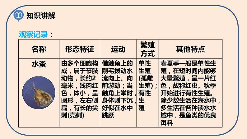 第一单元第6课《观察水中微小的生物》课件第8页