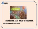小学六年级科学上册 第一单元 第7课《微生物与健康》课件+练习 （科教版2017）