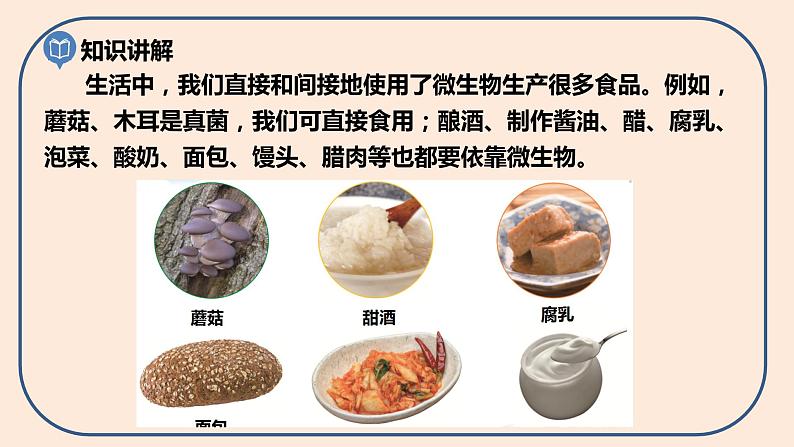 小学六年级科学上册 第一单元 第7课《微生物与健康》课件+练习 （科教版2017）05