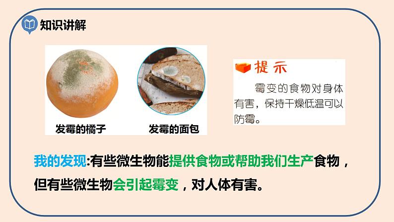 小学六年级科学上册 第一单元 第7课《微生物与健康》课件+练习 （科教版2017）08