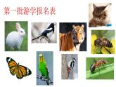小学科学 青岛版 三年级下册  多样的动物部优课件