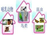 小学科学 青岛版 三年级下册  多样的动物部优课件