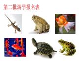 小学科学 青岛版 三年级下册  多样的动物部优课件
