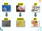 大象版五年级下册科学5.4《防震原理研究》（课件+练习）