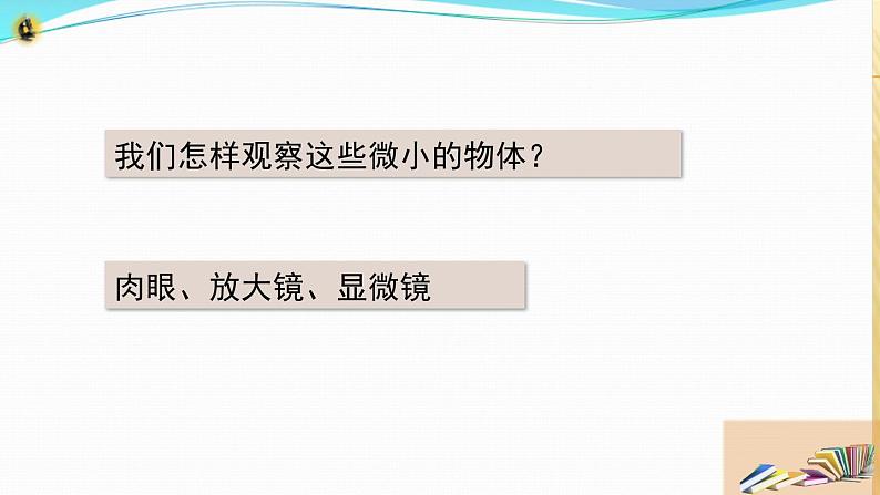 新教科版六年级上册科学1.3 观察身边微小的物体 课件+教案+素材05