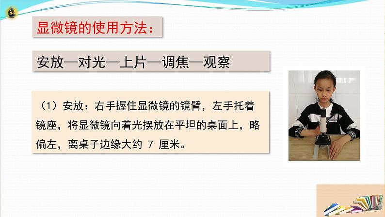 新教科版六年级上册科学1.3 观察身边微小的物体 课件+教案+素材06