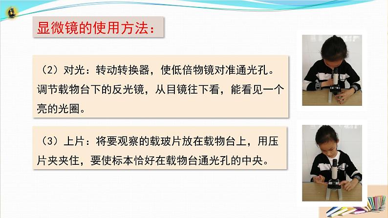 新教科版六年级上册科学1.3 观察身边微小的物体 课件+教案+素材07