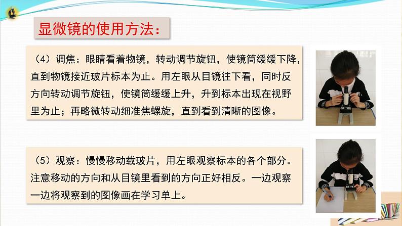 新教科版六年级上册科学1.3 观察身边微小的物体 课件+教案+素材08