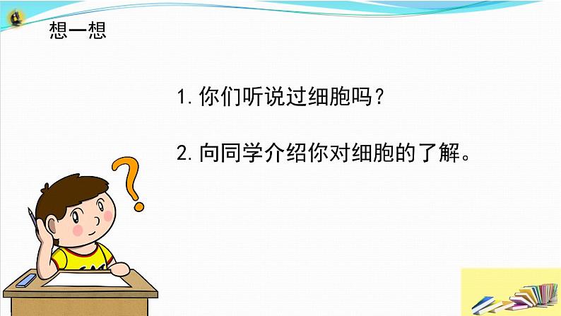 新教科版六年级上册科学1.3 观察身边微小的物体 课件+教案+素材02