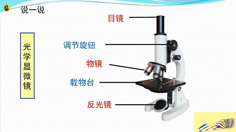 新教科版六年级上册科学1.3 观察身边微小的物体 课件+教案+素材05