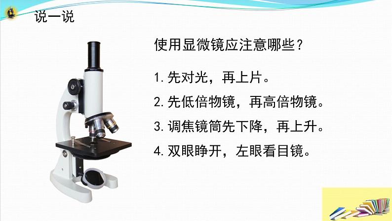 新教科版六年级上册科学1.3 观察身边微小的物体 课件+教案+素材06