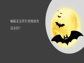 冀人版科学六下 3.7 蝙蝠与雷达 PPT课件+视频引导