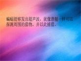 冀人版科学六下 3.7 蝙蝠与雷达 PPT课件+视频引导