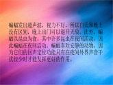 冀人版科学六下 3.7 蝙蝠与雷达 PPT课件+视频引导