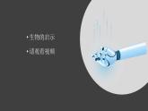 冀人版科学六下 3.8 生物的启示 PPT课件+视频引导
