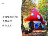 冀人版科學(xué)六下 5.17 建筑物的結(jié)構(gòu) PPT課件+視頻引導(dǎo)