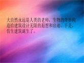 冀人版科學(xué)六下 第6單元 仿生建筑模型 PPT課件+視頻引導(dǎo)
