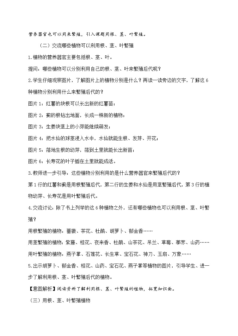 苏教版科学四年级下第4单元13用根、茎、叶繁殖教案第2页