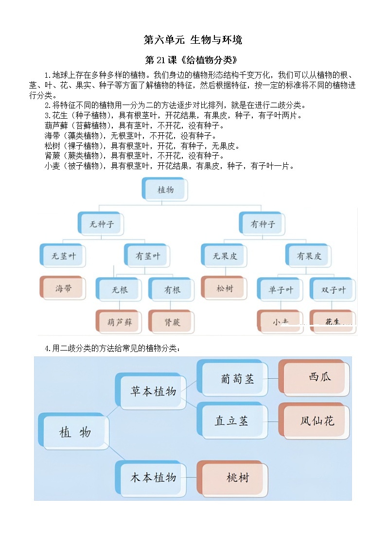 小学科学青岛版五四制五年级下册第六单元《生物与环境》知识点整理（共3课）（2022新版）第1页