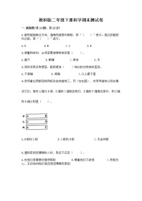 教科版三年级下科学期末测试卷附答案（轻巧夺冠）