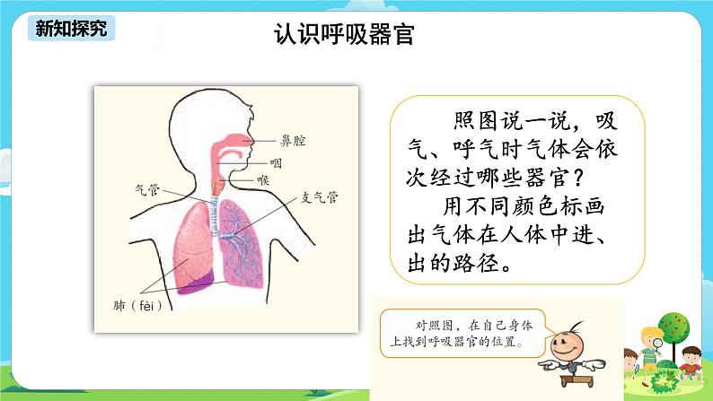 湘科2017版四年级上册第二单元2.《我们的呼吸》课件+教学设计+练习及答案+视频素材06