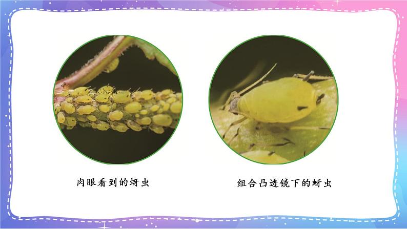 六上科学 第2课 怎样放得更大 课件PPT+教案+视频素材08