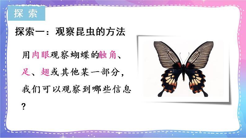 六上科学 第3课 观察身边微小的物体 课件PPT+教案+视频素材05