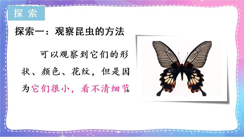 六上科学 第3课 观察身边微小的物体 课件PPT+教案+视频素材06