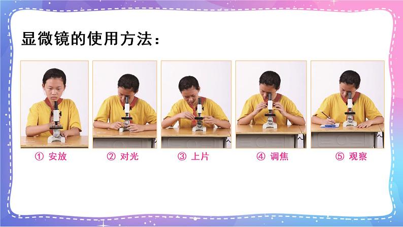 六上科学 第3课 观察身边微小的物体 课件PPT+教案+视频素材08