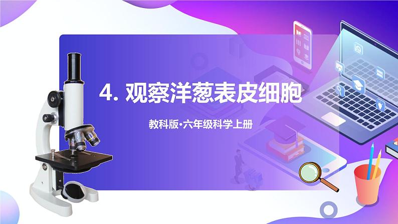 六上科学 第4课 观察洋葱表皮细胞 课件PPT+教案+视频素材01