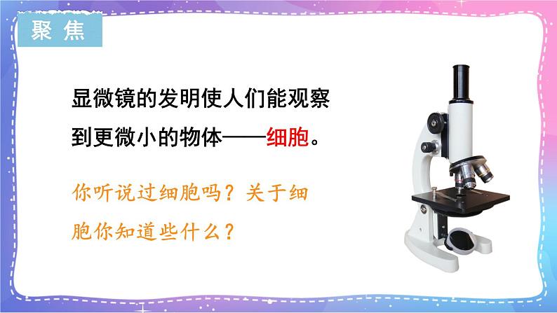 六上科学 第4课 观察洋葱表皮细胞 课件PPT+教案+视频素材02