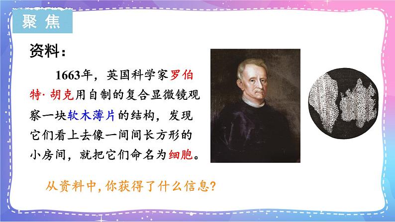 六上科学 第4课 观察洋葱表皮细胞 课件PPT+教案+视频素材03