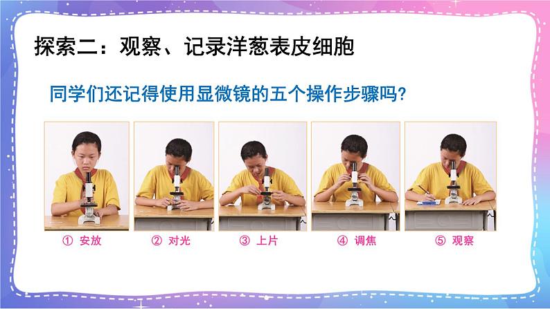 六上科学 第4课 观察洋葱表皮细胞 课件PPT+教案+视频素材08