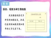 六上科學(xué) 第5課 觀察更多的生物細(xì)胞 課件PPT+教案+視頻素材