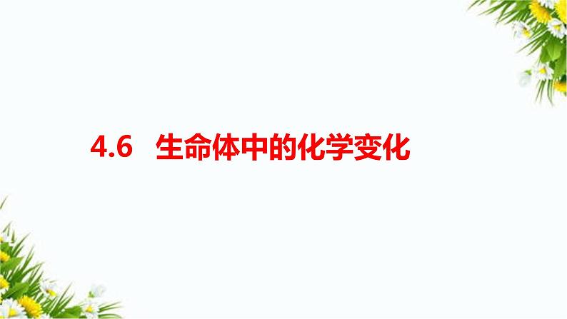 教科版六年级下册科学4.6《生命体中的化学变化》（课件+教案+习题）01