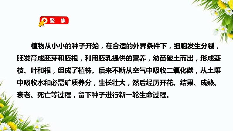 教科版六年级下册科学4.6《生命体中的化学变化》（课件+教案+习题）03