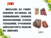 教科版六年级下册科学4.5《地球家园的化学变化》（课件+教案+习题）