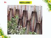 教科版六年级下册科学4.4《变化中伴随的现象》(课件+教案+习题)