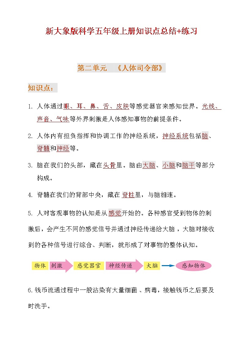 新大象版科学五年级上册第二单元知识点总结+练习第1页